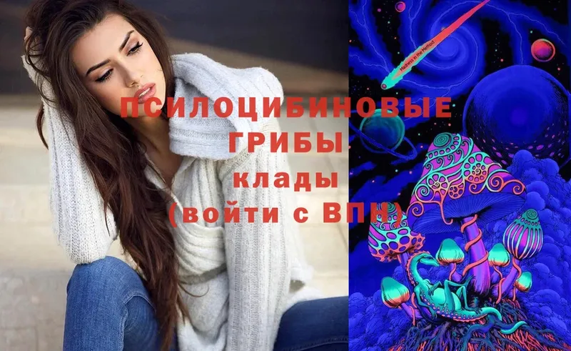 Псилоцибиновые грибы Cubensis  Белинский 